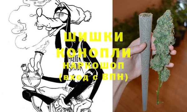 хмурый Покачи