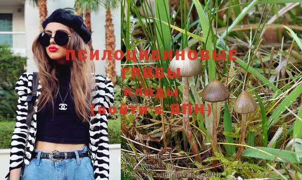 хмурый Покачи