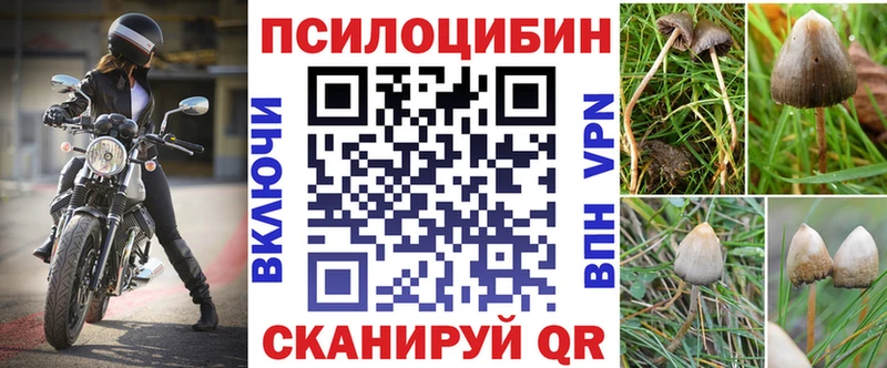 Купить закладки  Петрозаводск  Псилоцибиновые грибы Magic Shrooms 