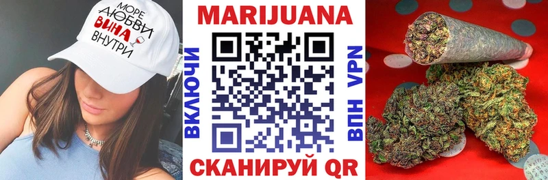 Бошки марихуана сатива  Купить закладки  Петрозаводск 